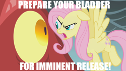 Size: 1280x720 | Tagged: safe, edit, edited screencap, screencap, basil, fluttershy, dragon, pegasus, pony, eye, female, flying, image macro, invader zim, mare