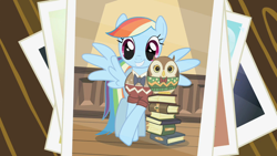 Size: 1280x720 | Tagged: safe, derpibooru import, screencap, rainbow dash, bird, owl, pegasus, pony, may the best pet win, book, clothes, crossed hooves, duo, leaning, photo, pose, side by side, smiling, sweater