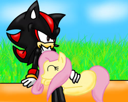 Size: 1825x1455 | Tagged: safe, artist:eliteyagami64, fluttershy, pegasus, pony, crossover, friendshipping, shadow the hedgehog, sitting, sleeping, sonic the hedgehog (series)