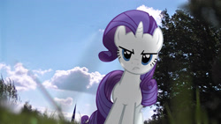 Size: 3840x2160 | Tagged: safe, artist:bastbrushie, artist:mackaged, rarity, pony, unicorn, angle, angry, female, frown, irl, mare, photo, ponies in real life, sky, solo, tree, vector