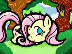 Size: 1024x768 | Tagged: safe, artist:alcoconut, fluttershy, pegasus, pony, female, mare, pink mane, solo, yellow coat