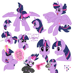 Size: 800x800 | Tagged: safe, artist:dutchgirl626, artist:rosieu, derpibooru import, twilight sparkle, twilight sparkle (alicorn), alicorn, pony, future twilight