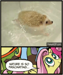 Size: 397x473 | Tagged: safe, idw, fluttershy, hedgehog, pegasus, pony, animated, blue coat, blue eyes, dialogue, exploitable meme, female, looking up, mare, meme, multicolored tail, nature is so fascinating, obligatory pony, pink coat, pink mane, smiling, speech bubble, swimming, wings, yellow coat