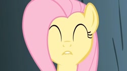 Size: 912x511 | Tagged: safe, screencap, fluttershy, pegasus, pony, dragonshy, lip bite, solo