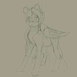 Size: 748x748 | Tagged: safe, artist:erijt, fluttershy, pegasus, pony, monochrome, sketch, solo