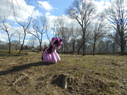 Size: 4608x3456 | Tagged: safe, artist:pmbsakura37, derpibooru import, twilight sparkle, central park, irl, new york city, photo, plushie