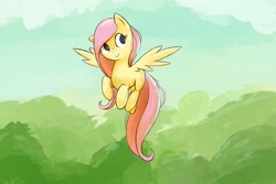 Size: 1280x853 | Tagged: safe, artist:junkiekb, fluttershy, pegasus, pony, cute, flying, solo