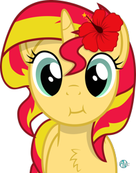 Size: 2130x2699 | Tagged: safe, artist:arifproject, sunset shimmer, pony, unicorn, :i, arif's scrunchy pone, cheek puffing, chest fluff, cute, female, flower, flower in hair, hibiscus, looking at you, mare, shimmerbetes, simple background, solo, transparent background, vector