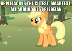 Size: 625x444 | Tagged: safe, applejack, earth pony, pony, best pony, image macro, plebeian, solo