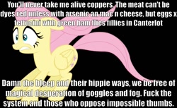 Size: 1141x699 | Tagged: safe, fluttershy, pegasus, pony, image macro, linguini-ist required, nonsense, solo, text, vulgar, wat, word salad