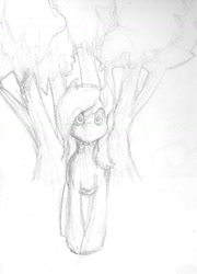 Size: 1024x1420 | Tagged: safe, artist:doomcakes, derpy hooves, pegasus, pony, female, mare, monochrome, solo, traditional art, tree