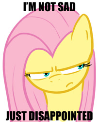 Size: 411x504 | Tagged: safe, fluttershy, pegasus, pony, disappointed, female, image macro, mare, solo
