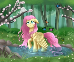 Size: 2489x2082 | Tagged: safe, artist:pridark, fluttershy, butterfly, pegasus, pony, crying, sad, solo