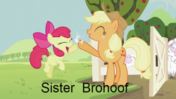 Size: 640x360 | Tagged: safe, edit, edited screencap, screencap, apple bloom, applejack, earth pony, pony, sheep, sisterhooves social, duo, high five, hoofbump