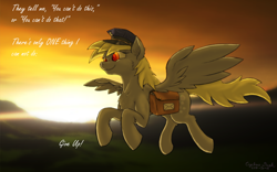 Size: 1440x900 | Tagged: safe, artist:cyclone-dusk, derpy hooves, pegasus, pony, female, flying, mailbag, mare, solo, sunset