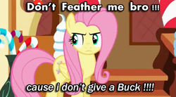 Size: 631x349 | Tagged: safe, screencap, fluttershy, pegasus, pony, angry, image macro, meme, solo