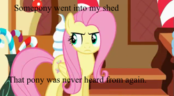 Size: 631x349 | Tagged: safe, fluttershy, pegasus, pony, .mov, caption, image macro, shed.mov, solo