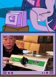 Size: 562x771 | Tagged: safe, derpibooru import, twilight sparkle, human, china, exploitable meme, facehoof, fail, iphone, meme, seems legit, stove, tv meme