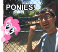 Size: 120x107 | Tagged: safe, pinkie pie, brony, fence, irl, photo, photoshop, ponies in real life, richard kuta, something he thinks is good to celebrate, sonmanic, text, wat, why