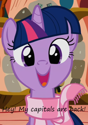 Size: 506x720 | Tagged: safe, derpibooru import, twilight sparkle, caption, clothes, happy, insane pony thread, scarf