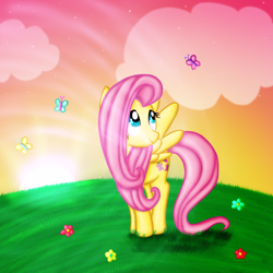 Size: 1000x1000 | Tagged: safe, artist:myhysteria, fluttershy, butterfly, pegasus, pony, female, mare, solo