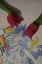 Size: 924x1404 | Tagged: safe, artist:sakurabizen, derpibooru import, rainbow dash, soarin', pegasus, pony, backwards cutie mark, cutie mark, female, flower, kissing, male, paper, rose, shipping, soarindash, straight, traditional art