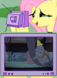 Size: 563x771 | Tagged: safe, fluttershy, elephant, pegasus, pony, asian elephant, dumbo, exploitable meme, happy fluttercry, meme, obligatory pony, tv meme