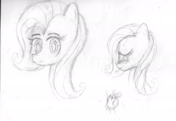 Size: 1918x1313 | Tagged: safe, artist:theskitzogamer, fluttershy, pegasus, pony, monochrome, sketch, sketch dump