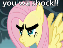 Size: 1015x766 | Tagged: safe, edit, fluttershy, pegasus, pony, hokuto no ken, image macro, kenshiro, solo