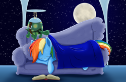 Size: 2745x1789 | Tagged: safe, artist:lifesharbinger, derpibooru import, rainbow dash, tank, pegasus, pony, blanket, book, moon, night, sleeping, sofa, starry night