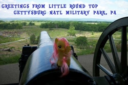 Size: 720x480 | Tagged: safe, artist:horsesnhurricanes, fluttershy, pegasus, pony, american civil war, cannon, gettysburg, photo, ponies around the world