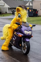 Size: 1276x1920 | Tagged: safe, artist:judhudson, applejack, fursuit, irl, motorcycle, photo