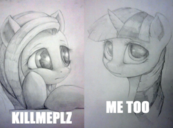 Size: 766x568 | Tagged: safe, artist:justpony, derpibooru import, fluttershy, twilight sparkle, pegasus, pony, caption, image macro, kill me, traditional art