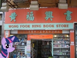 Size: 500x375 | Tagged: safe, derpibooru import, twilight sparkle, bookstore, chinese, ponies in real life, pun, twiface, wong neighborhood, wrong neighborhood