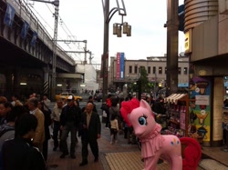 Size: 1024x764 | Tagged: safe, pinkie pie, clothes, costume, irl, japan, japanese pinkie pie costume, photo