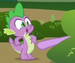 Size: 394x330 | Tagged: safe, derpibooru import, screencap, spike, twilight sparkle, dragon, feeling pinkie keen, bush, hooves, out of context, scared, surprised