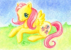 Size: 800x567 | Tagged: safe, artist:rayechu, fluttershy, pegasus, pony, female, mare, solo, traditional art