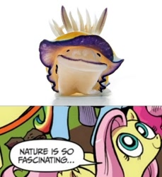 Size: 449x490 | Tagged: safe, idw, fluttershy, pegasus, pony, blue coat, blue eyes, comic, dialogue, exploitable meme, female, looking up, mare, meme, multicolored tail, nature is so fascinating, nudibranch, obligatory pony, pink coat, pink mane, sea slug, smiling, speech bubble, wings, yellow coat