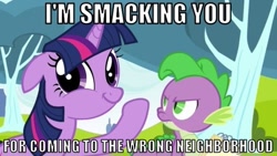 Size: 649x365 | Tagged: safe, derpibooru import, spike, twilight sparkle, dragon, image macro, spikeabuse, twiface, wrong neighborhood