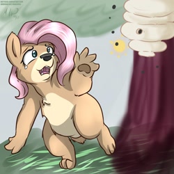 Size: 1000x1000 | Tagged: safe, artist:makoruu, fluttershy, bear, bee, insect, bear puns, bearified, bearly pony related, beehive, cheek fluff, chest fluff, colored pupils, ear fluff, ear tufts, eyes on the prize, fluffy, flutterbear, frown, just grin and bear it, leg fluff, open mouth, sad, solo, species swap, teary eyes, tree, wide eyes