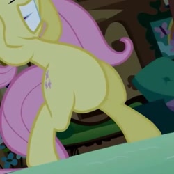 Size: 437x437 | Tagged: safe, screencap, fluttershy, pegasus, pony, luna eclipsed, belly, bipedal, featureless crotch, pictures of bellies, solo