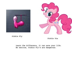 Size: 500x450 | Tagged: safe, pinkie pie, earth pony, pony, female, mare, opoona, pink coat, pink fly, pink mane, solo