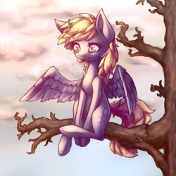 Size: 800x800 | Tagged: safe, artist:peachykat, derpy hooves, pegasus, pony, female, lollipop, mare, sitting, sitting in a tree, solo, tree