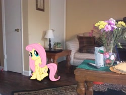 Size: 2592x1944 | Tagged: safe, artist:tokkazutara1164, fluttershy, chair, door, flower, irl, lamp, photo, pillow, ponies in real life, remote, rug, solo, table, vector