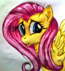 Size: 1372x1501 | Tagged: safe, artist:tomek2289, fluttershy, pegasus, pony, female, mare, solo, traditional art