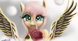 Size: 870x463 | Tagged: safe, artist:auroriia, fluttershy, pegasus, pony, flower, rose, solo