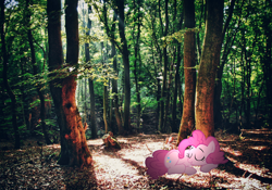 Size: 1032x722 | Tagged: safe, artist:nimbustheponi, artist:snipercampervan, pinkie pie, forest, irl, photo, ponies in real life, shadow, sleeping, solo, vector