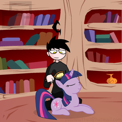 Size: 1280x1280 | Tagged: safe, artist:slushy-man, derpibooru import, twilight sparkle, human, brushing, golden oaks library, hairbrush, library