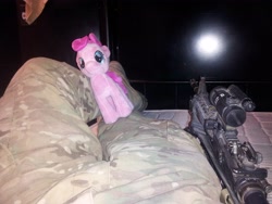 Size: 3264x2448 | Tagged: safe, pinkie pie, aimpoint, ar15, aurora, irl, military, photo, plushie, reflex sight