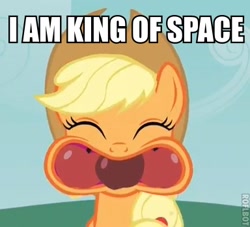 Size: 384x348 | Tagged: safe, applejack, earth pony, pony, eyes closed, image macro, solo, wat